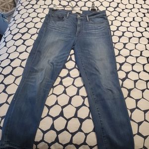 Denim Forum Nico Mid Rise skinny Crop